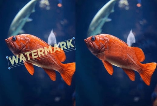 Watermark Removal Service