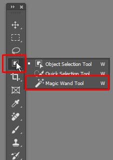 magic wand tool