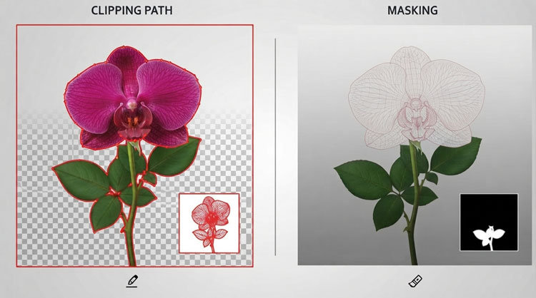 Image Masking And Clipping Path